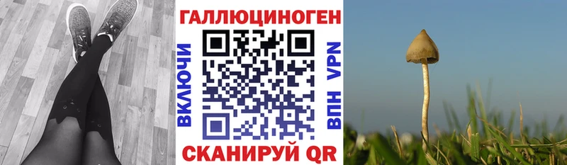 Галлюциногенные грибы мицелий где найти Пролетарск